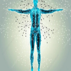 The Impact of Electrons, Protons, and Neutrons